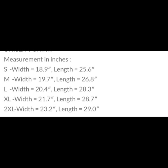 Gildan Cher concert shirt don’t care t shirt by sina sparrow - Picture 2 of 9